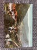 AKVDE24 - Sinaia - Vedere generala necirculat, Circulata, Printata
