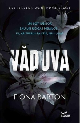 VADUVA - FIONA BARTON foto