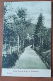 arte postala, Aleea Carmen Sylva si Manastirea Sinaia, 1922