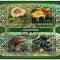 TOGO 2017 - Ciuperci / set complet - colita + bloc