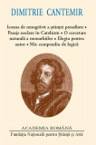 Dimitrie Cantemir. Icoana de nezugrăvit a ştiinţei preasfinte - Hardcover - Dimitrie Cantemir - Fundația Națională pentru Știință și Artă