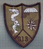 AX 1224 EMBLEMA AVIATIE-PARASUTISTI-ESCADRILA313 ?-BAZA313 ?-PENTRU COLECTIONARI