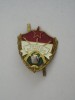 QW9 N 91 - insigna - militar - Ungaria - Egyseg bajnoksag, Europa