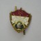 QW9 N 91 - insigna - militar - Ungaria - Egyseg bajnoksag
