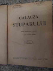 Calauza Stuparului - Colectiv ,535760 foto