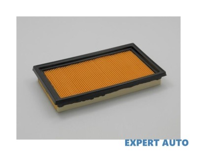 Filtru aer w Nissan Qashqai (2007-&amp;gt;)[J10,NJ10,JJ10E] #1 foto