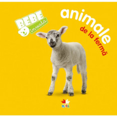 Bebe invata: Animale de la ferma |