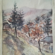 Peisaj din Predeal, semnat stânga jos, 17 x 12 cm, acuarelă pe carton