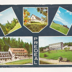 RF13 -Carte Postala- Predeal, necirculata 1979