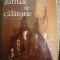 GUSTAVE FLAUBERT - JURNALE DE CALATORIE (1985, Ed. cartonata)