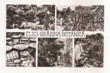 RF100 - Carte Postala - Cluj. Gradina Botanica, circulata 1969