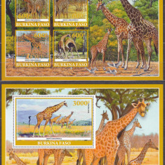 DB1 Fauna Burkina Faso Girafe MS + SS MNH