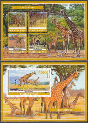 DB1 Fauna Burkina Faso Girafe MS + SS MNH foto