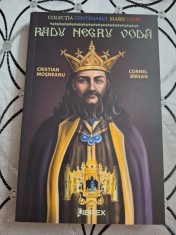 Radu Negru Voda. Colectia Centenarul Marii Uniri - Mosneanu, Cristian foto