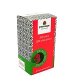 Indulcitor Natural Green Sugar 25 sticks Remedia