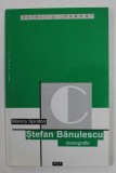 STEFAN BANULESCU - monografie de MONICA SPIRIDON , 2000