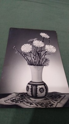 CARTE POSTALA FELICITARE CIRCULATA foto