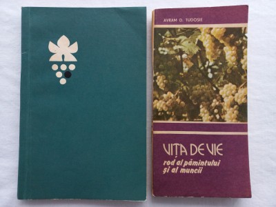 COMBATEREA BOLILOR SI DAUNATORILOR LA VITA DE VIE- I. MIRICA+ VITA DE VIE ROD AL foto