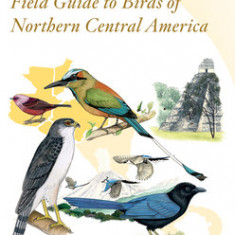 Peterson Field Guide to Birds of Northern Central America