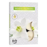Set 6 lumanari parfumate tip pastila P15-179 FLOARE ALBA DNC17680
