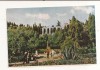 FA68-Carte Postala-UCRAINA- Yalta, Gagarin Park, necirculata 1963, Fotografie