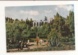 FA68-Carte Postala-UCRAINA- Yalta, Gagarin Park, necirculata 1963, Fotografie