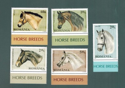 Romania 2010 Fauna Cai de rasa MNH Serie completa Margine de coala LP 1866 foto