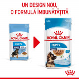 Royal Canin Maxi Puppy hrană umedă c&acirc;ine junior (&icirc;n sos), 10 x 140g
