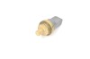 Senzor de temperatură lichid de răcire AUDI TT FV3 2018 OEM: 06A919501A 10778928