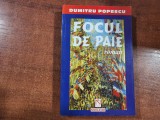 Focul de paie de Dumitru Popescu