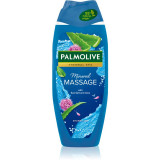 Cumpara ieftin Palmolive Mineral Massage gel de duș 500 ml