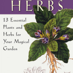 The Witching Herbs: 13 Essential Plants and Herbs for Your Magical Garden