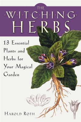 The Witching Herbs: 13 Essential Plants and Herbs for Your Magical Garden foto