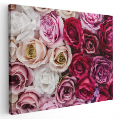 Tablou flori trandafiri rosii, roz Tablou canvas pe panza CU RAMA 60x80 cm