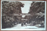 Carte postala, Bazna, parcul orasului, 1952