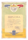 Diploma Evidentiat in munca, 1970