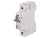 &Icirc;ntrerupător de Supracurent 10A 1P 6kA 230/400V