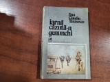 Iarna cazuta-n genunchi de Dan Claudiu Tanasescu