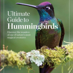 Birds & Blooms Ultimate Guide to Hummingbirds: Discover the Wonders of One of Nature's Most Magical Creatures