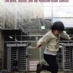 A Palestinian Theology of Liberation: The Bible, Justice, and the Palestine-Israel Conflict