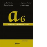 Matematica - Auxiliar pentru clasa a VI-a (semestrul I)
