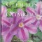 Lance Hattatt - Clematis &amp; Climbers