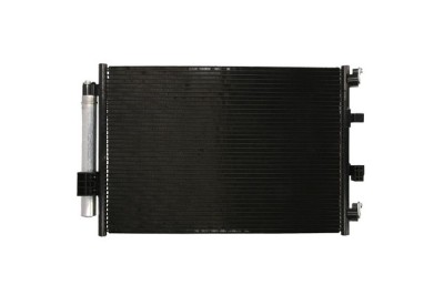 Radiator Aer Conditionat (Condensor) 446112 79714 foto