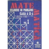 Culegere de probleme de matematica. Clasa a IX-a (volumul 1) - D. Batinetu-Giurgiu