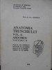 ANATOMIA TRUNCHIULUI VOL.II ABDOMEN FASCICOLA II-GH. ADOMNICAI SI COLAB.-90916