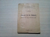 GRAIUL DE PE TIRNAVE - Texte si Glosar - V. Fratila - 1986, 274 p., Alta editura