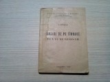 GRAIUL DE PE TIRNAVE - Texte si Glosar - V. Fratila - 1986, 274 p., Alta editura