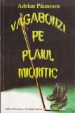 AS - ADRIAN PĂUNESCU - VAGABONZI PE PLAIUL MIORITIC