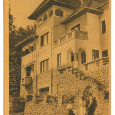 4254 - OLANESTI, Valcea, Romania - old postcard - unused