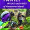 Family Walks and Hikes of Vancouver Island -- Volume 1: Streams, Lakes, and Hills from Victoria to Nanaimo